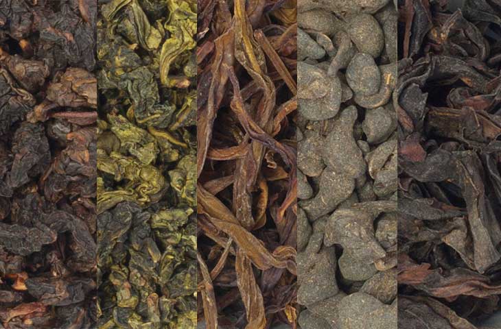 The Oolong Compendium · Tea Epicure